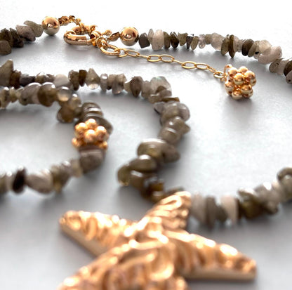 Coordinado Estrella de Mar